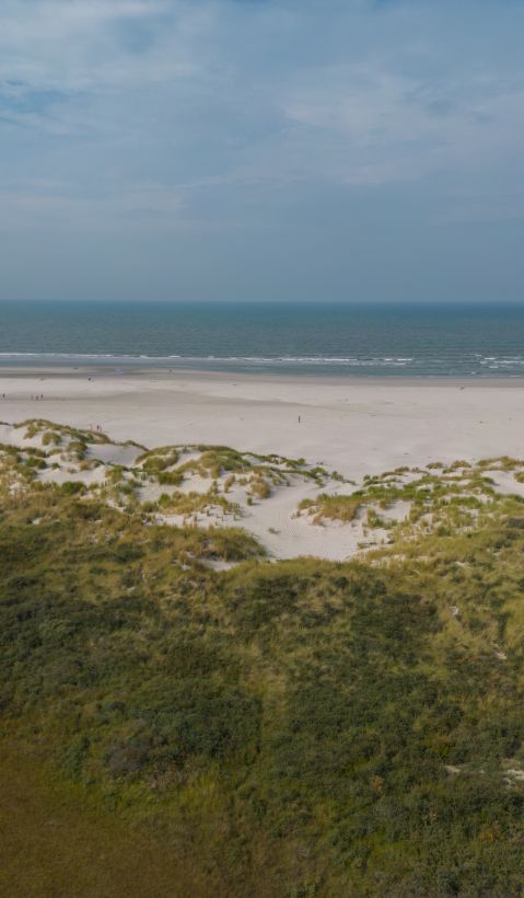 Wadden Sea, Schiermonnikoog Wadden Sea, Schiermonnikoog