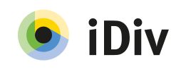 iDiv Logo